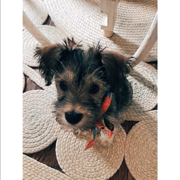 Meet your Posher, Ann-marie - Picture 4 of 4